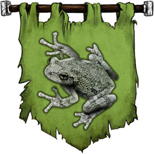 The Symbol of Wastri - Gray toad