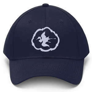Aerdrie Faenya Hat